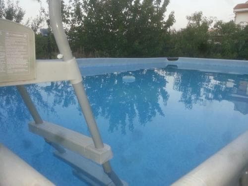 A serene outdoor pool surrounded by lush greenery reflects the tranquil sky, featuring a metal ladder for easy access, ideal for relaxing summer getaways.