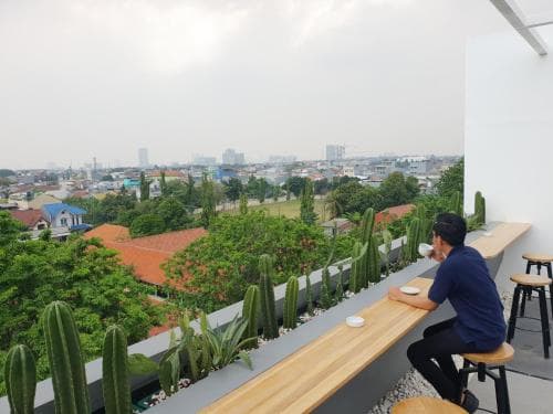 A serene rooftop café scene features a person enjoying coffee amidst lush cacti, offering a tranquil urban escape with panoramic city views, ideal for travelers seeking relaxation and unique photo opportunities.