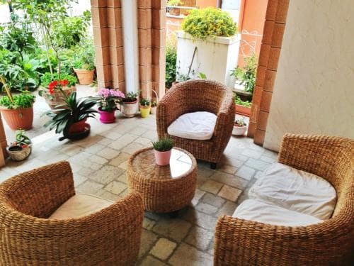 A cozy outdoor patio features wicker furniture surrounded by vibrant potted plants, creating a serene and inviting atmosphere ideal for relaxation or a leisurely coffee break.
