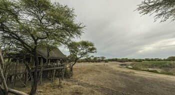 Onguma Tree Top Camp