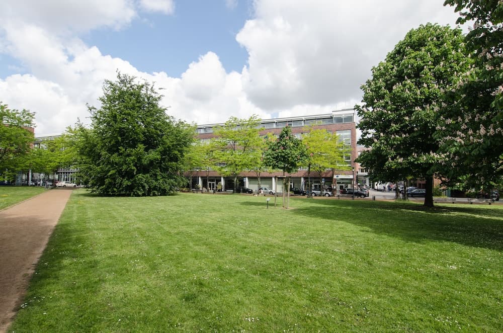 A serene urban park with lush green grass, blooming trees, and a modern building in the background offers a peaceful retreat for city dwellers seeking relaxation and recreation.