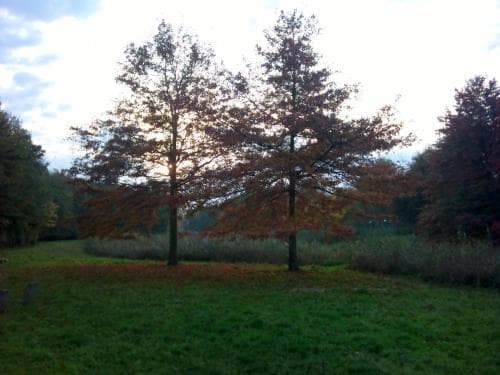 Bed & Breakfast Inndeberm