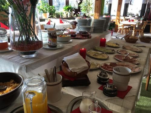 A cozy breakfast buffet scene in a warmly lit indoor dining area, featuring an array of fresh foods, beverages, and decorative plants, ideal for travelers seeking a comfortable morning start.