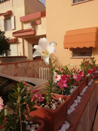 Domomea B&B