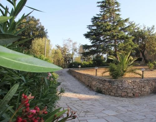 A serene stone-paved pathway lined with lush greenery and vibrant flowers leads through a tranquil garden, ideal for a peaceful retreat or leisurely stroll during a vacation.