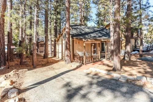 Pines 23 #1438