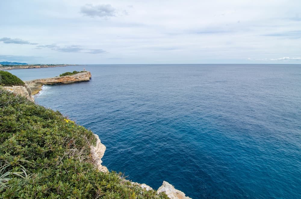 Pla Des Coll
