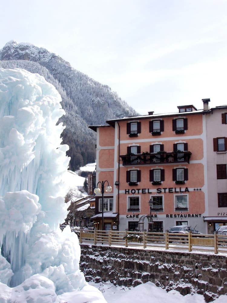 Hotel Stella Alpina