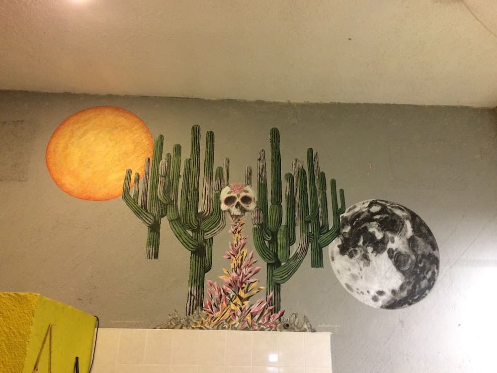 Bajas Cactus Hostel