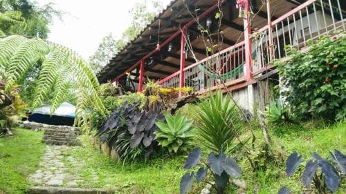 A serene tropical garden with lush greenery and vibrant plants frames a rustic wooden balcony, ideal for eco-tourism and nature retreats.