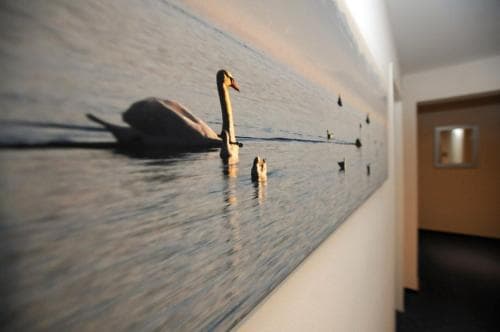 A serene mural of swans gliding on water decorates a hotel corridor, creating a tranquil atmosphere ideal for relaxation during travel.