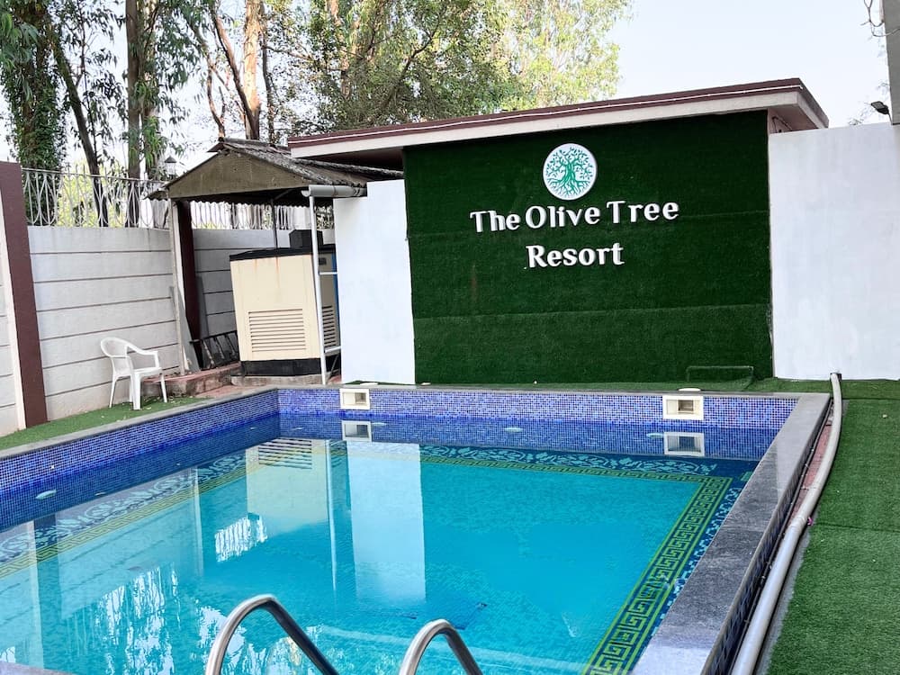 Olive Tree Resort