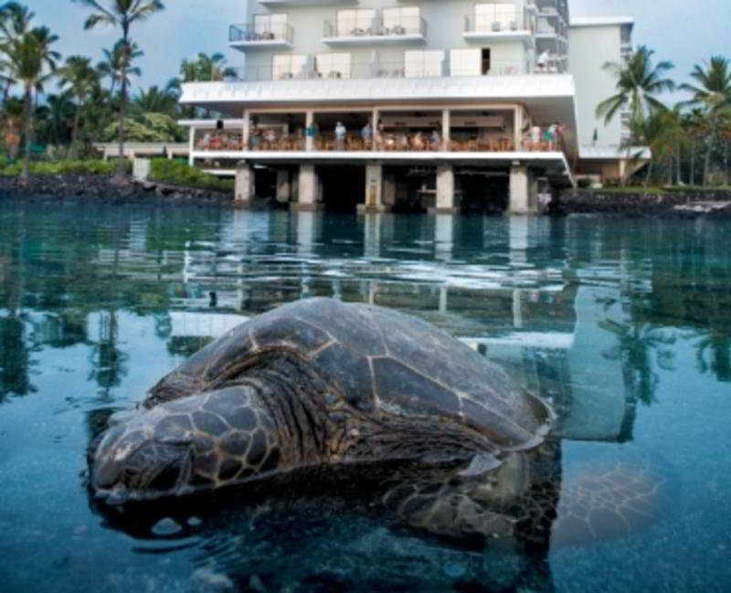 Outrigger Keauhou Beach Resort
