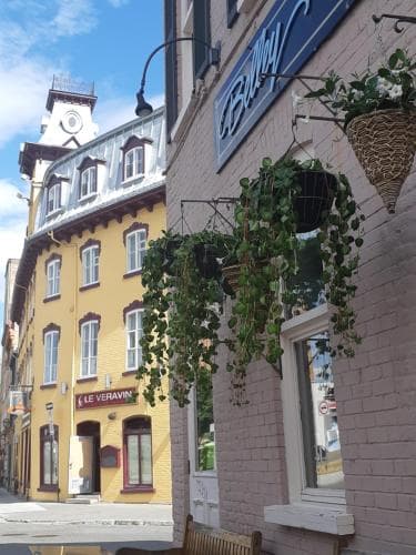 A charming European street scene features vibrant yellow and brick buildings adorned with hanging greenery, evoking a quaint, picturesque mood ideal for leisurely strolls and cultural exploration.