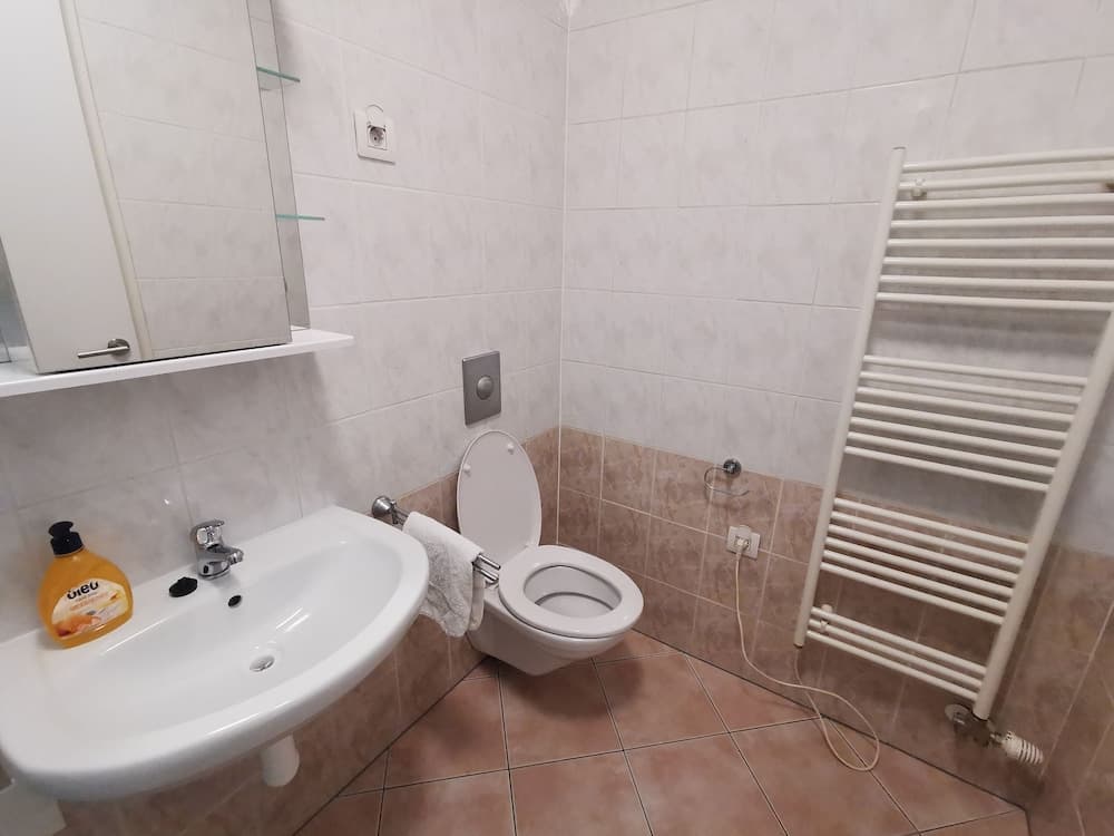 Trnovo apartment with free parking