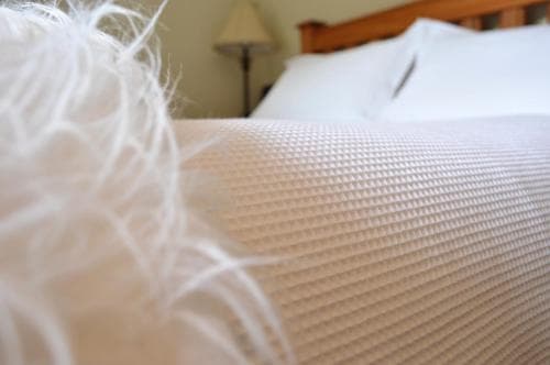 Brindabella B & B
