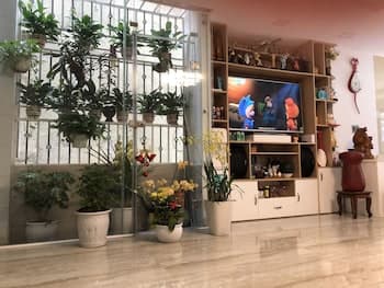 A cozy living room with vibrant indoor plants, a TV displaying an animated show, and shelves filled with books and decor creates a warm, inviting atmosphere perfect for a relaxing staycation.