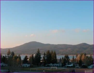 Honey Bear Lodge & Cabins