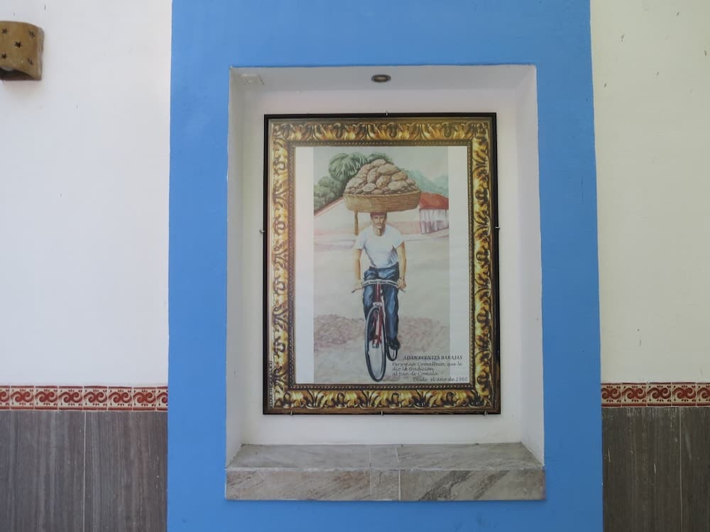 Hotel Posada Comala