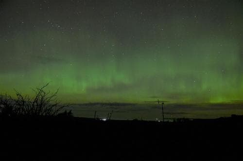 A serene rural landscape under the mesmerizing glow of the aurora borealis, featuring silhouetted trees and distant lights, ideal for night photography enthusiasts seeking natural wonders.