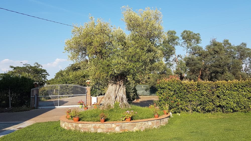 Casal Sant  Elena