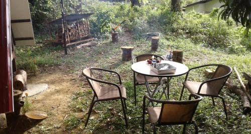 The Forest Cabin