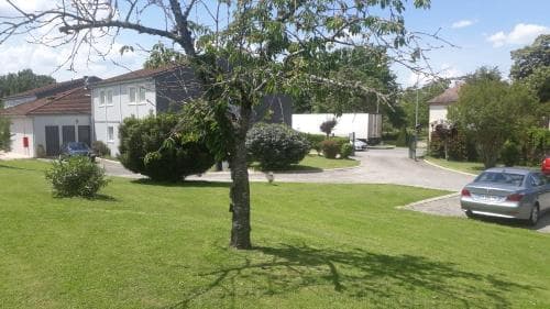 A serene suburban neighborhood features lush green lawns, a prominent tree casting shadows, parked cars, and modern houses under a bright blue sky, ideal for families seeking a peaceful residential retreat.