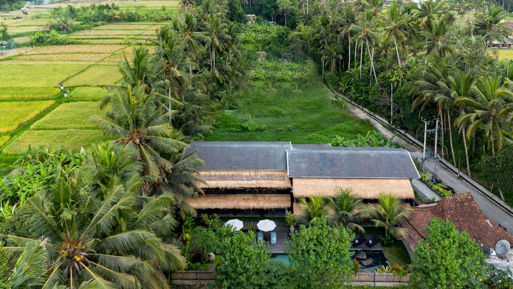 An aerial view of a serene tropical villa surrounded by lush palm trees and rice fields, ideal for a tranquil retreat and eco-friendly travel experience.
