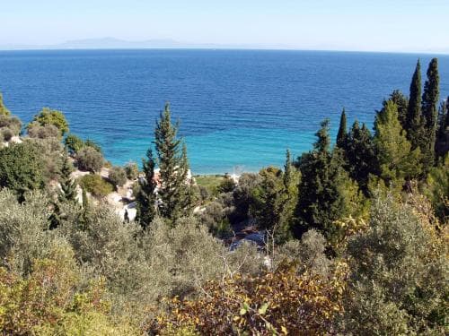 A serene coastal landscape featuring lush greenery and vibrant blue waters, ideal for tranquil beachside retreats and nature photography.