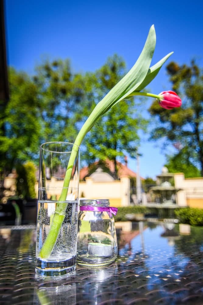 Eco friendly Hotel Dália