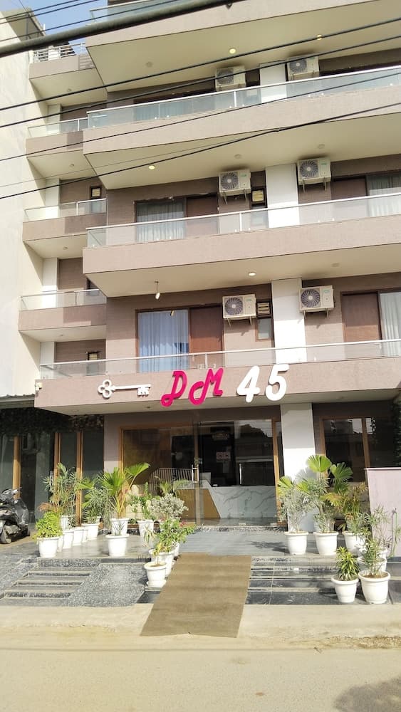 DM 45