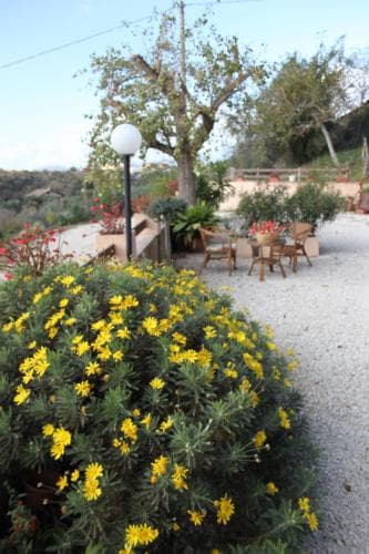 Bed & Breakfast Il Pioppo