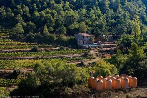 A serene rural landscape features terraced vineyards, a rustic stone farmhouse nestled among lush greenery, and rows of orange wine fermentation tanks, ideal for travelers seeking an authentic agritourism experience in a picturesque countryside setting.
