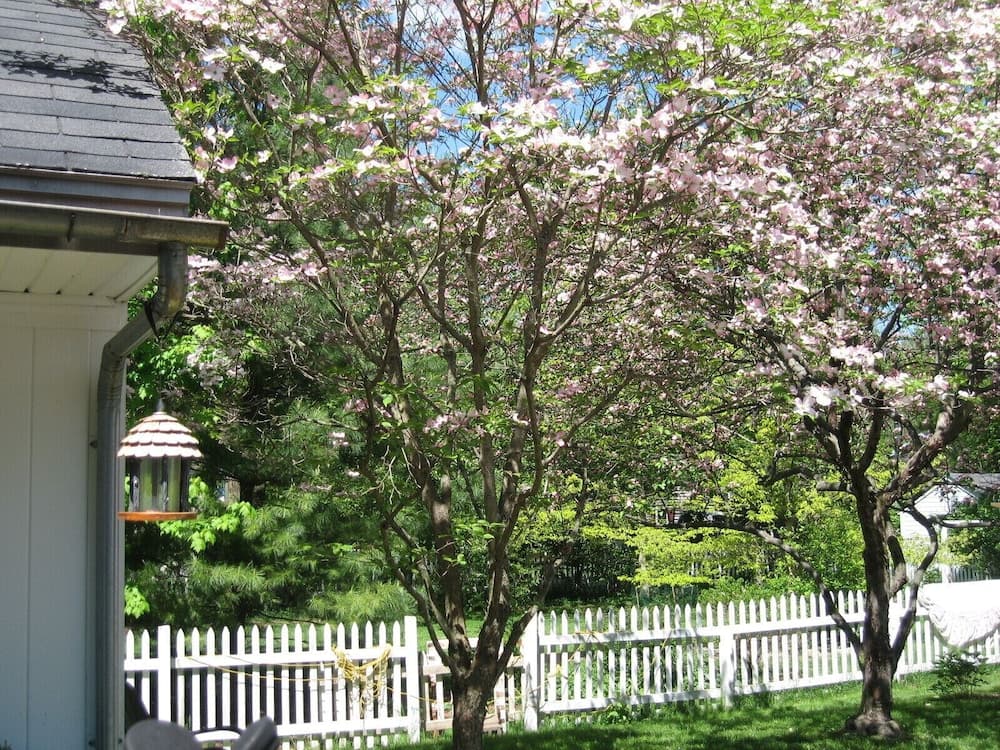 Beautiful Valley Guesthouse