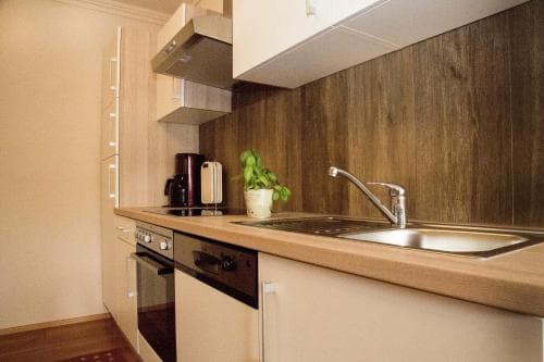 A cozy, modern kitchenette with wooden accents, stainless steel appliances, and a fresh potted plant creates an inviting atmosphere ideal for travelers seeking self-catering accommodations.