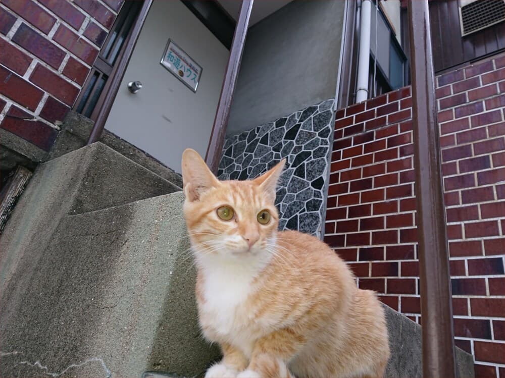 Guesthouse Mican