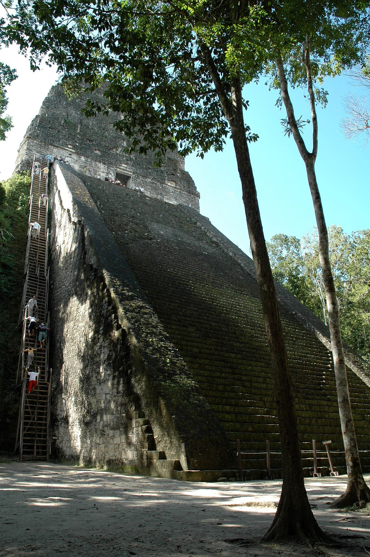 Tikal Guatemala tours jungle temple view