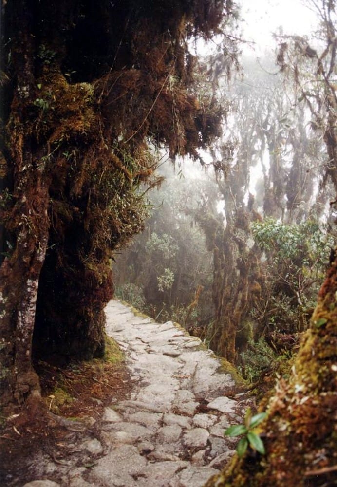 Inca Trail permits guide showing hikers on the regulated route to Machu Picchu
