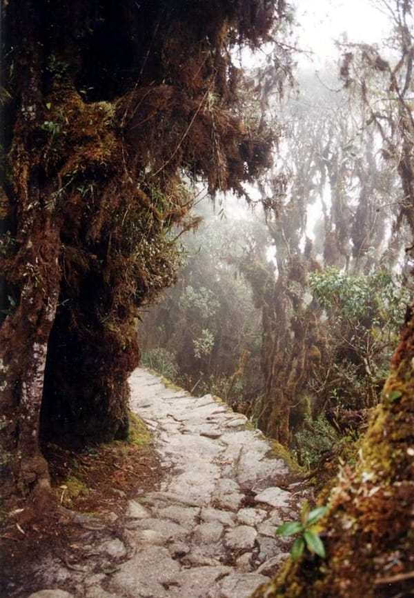 Inca Trail permits guide showing hikers on the regulated route to Machu Picchu